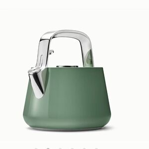 Green Stainless Steel Tea Kettle